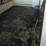 Project D: After the old floors have been removed