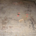 Project E: Some damaged hardwood floors
